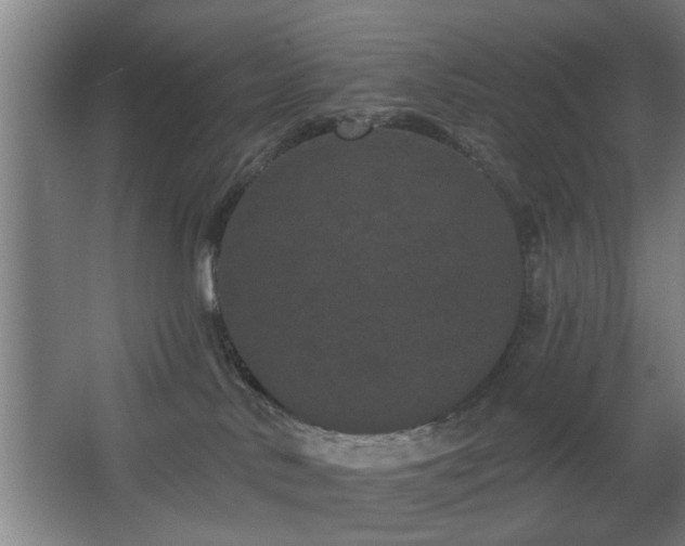 X0000068260042200604241243