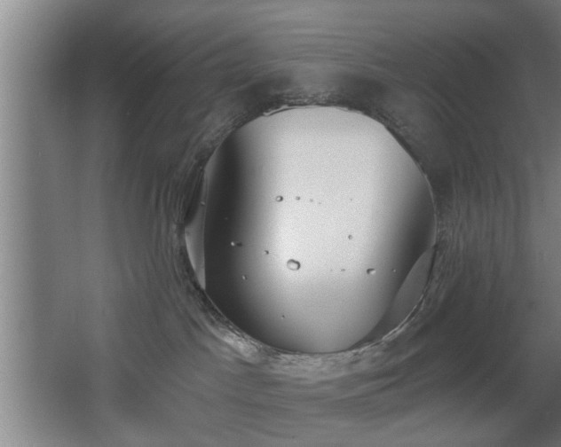 X0000068260045200604241243