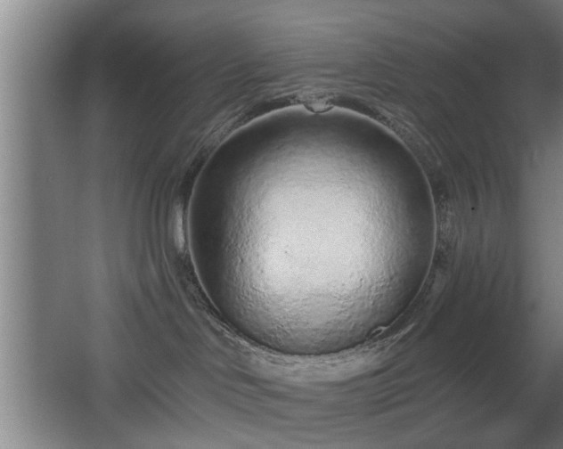 X0000068260046200604241243