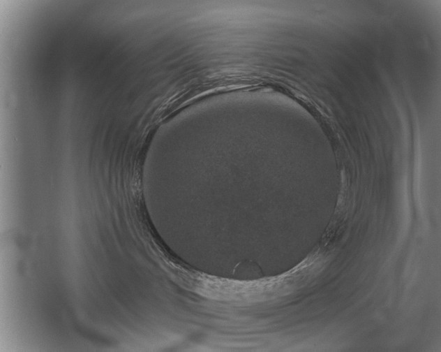 X0000068260048200604241243