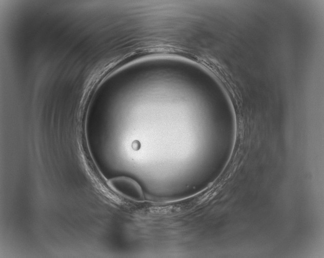 X0000068260049200604241242