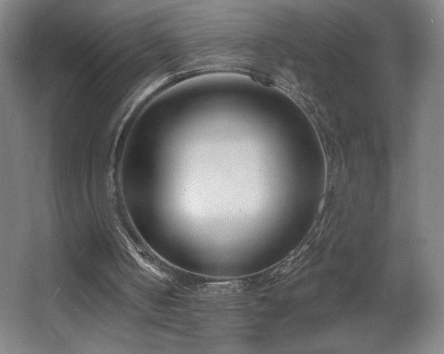 X0000068260050200604241242