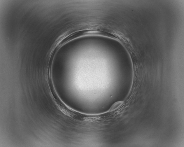 X0000068260051200604241242