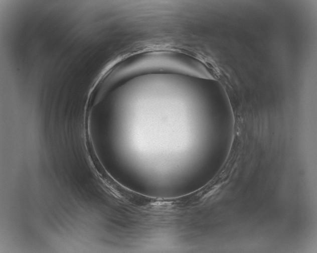 X0000068260052200604241242