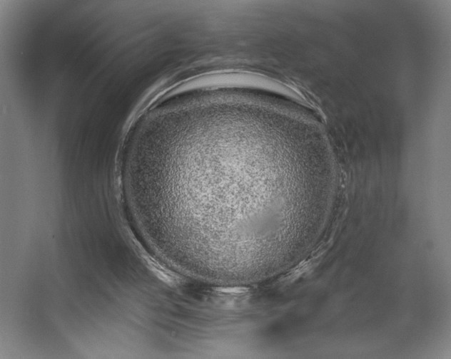 X0000068260053200604241242