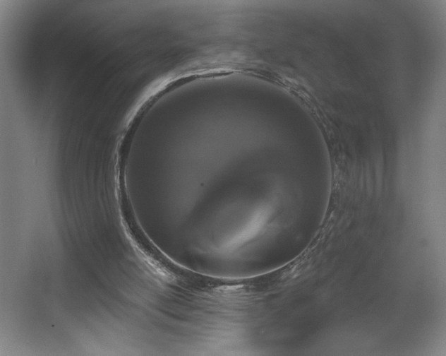 X0000068260054200604241242