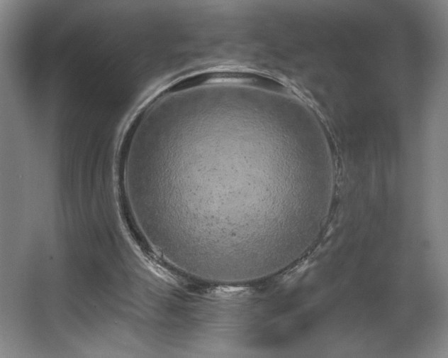 X0000068260055200604241242