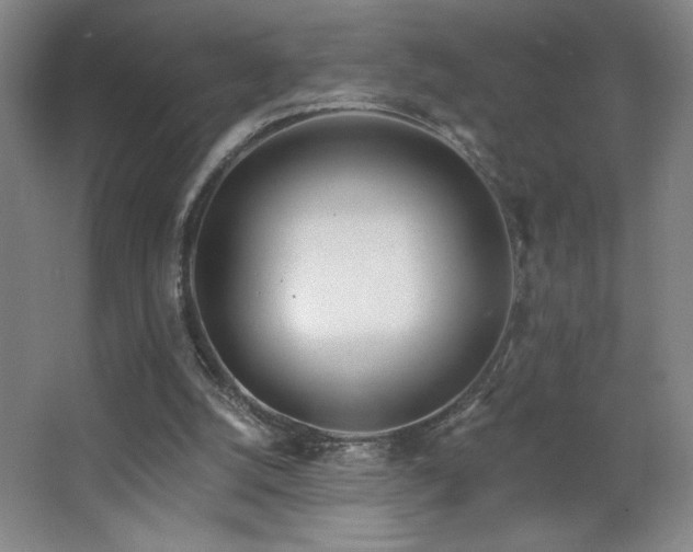 X0000068260056200604241242