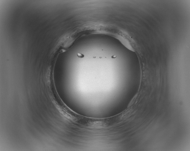 X0000068260058200604241242