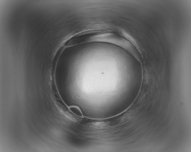 X0000068260059200604241242