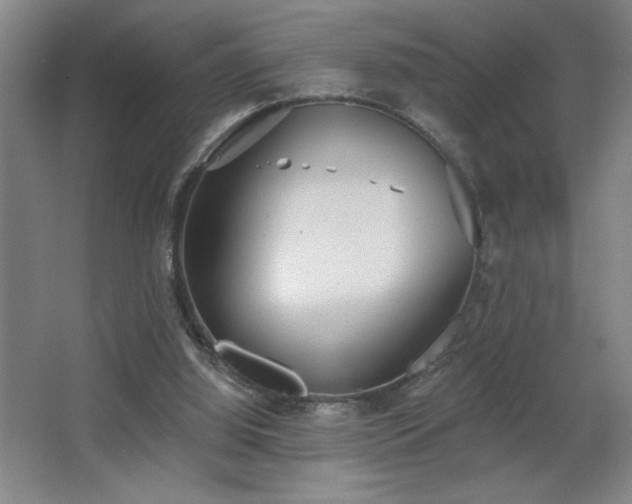 X0000068260060200604241242