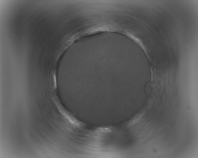 X0000068260061200604241242