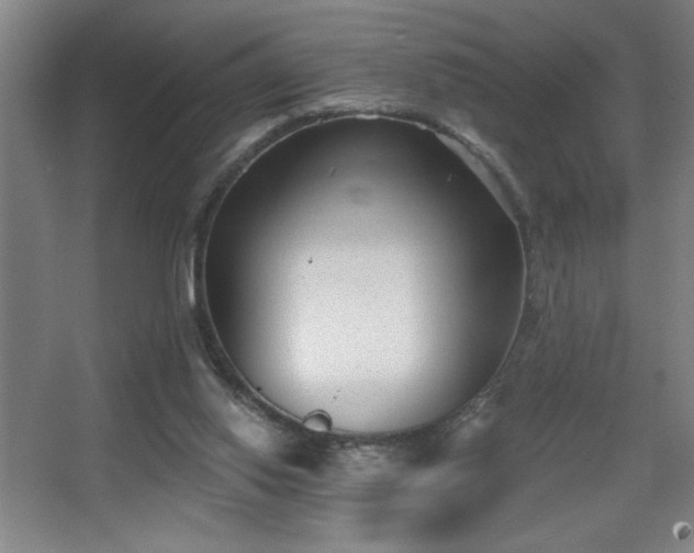 X0000068260062200604241242