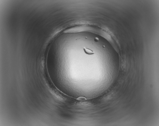 X0000068260063200604241242