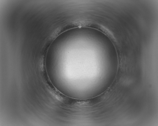 X0000068260065200604241242