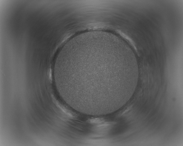 X0000068260067200604241242