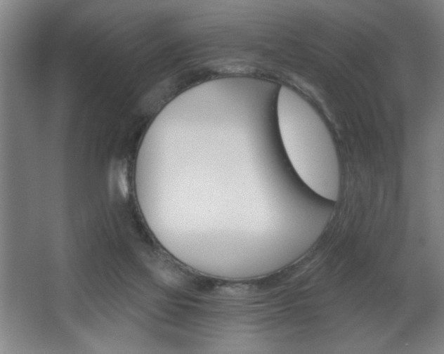 X0000068260069200604241242