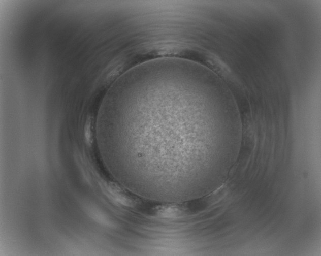 X0000068260074200604241242