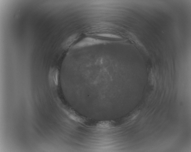 X0000068260076200604241243