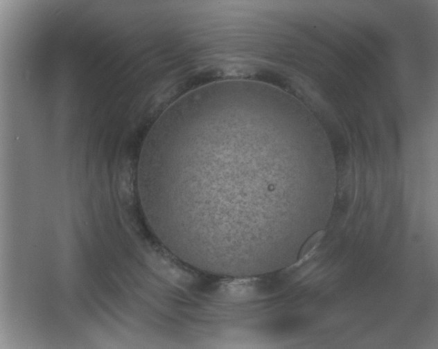 X0000068260078200604241243