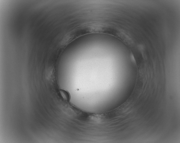 X0000068260079200604241243