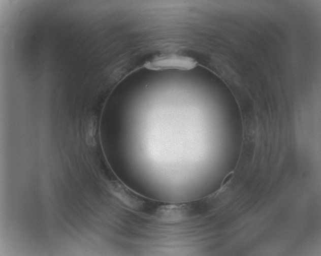 X0000068260082200604241243