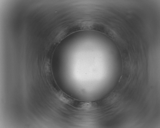 X0000068260083200604241243