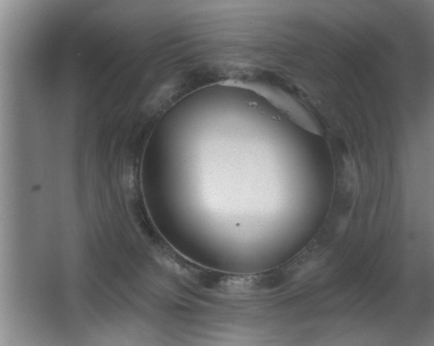 X0000068260084200604241243