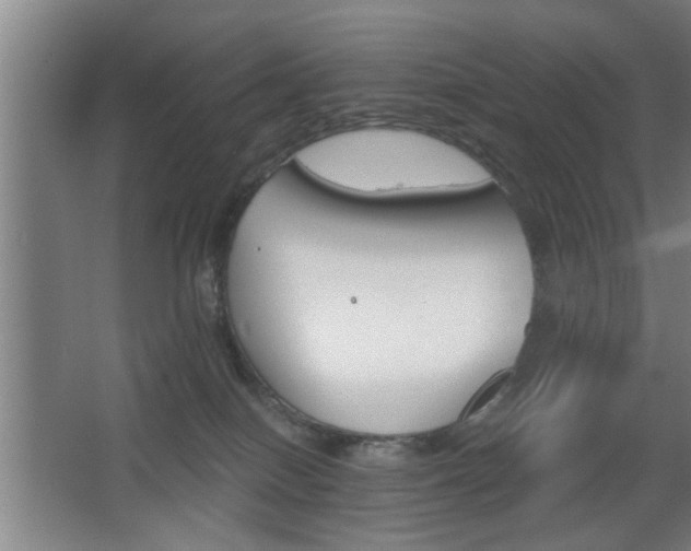 X0000068260086200604241243