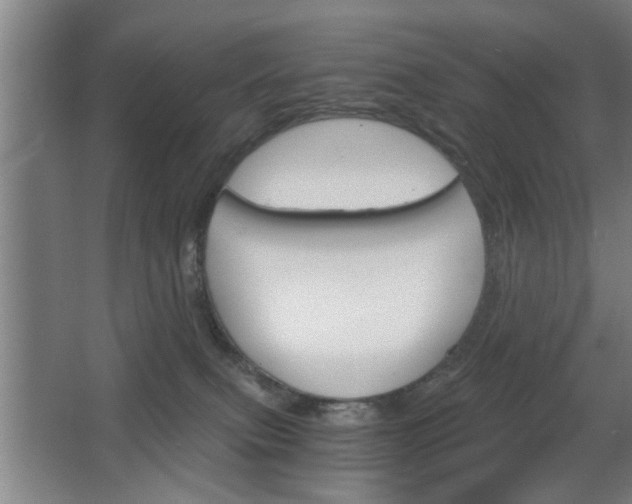 X0000068260087200604241243