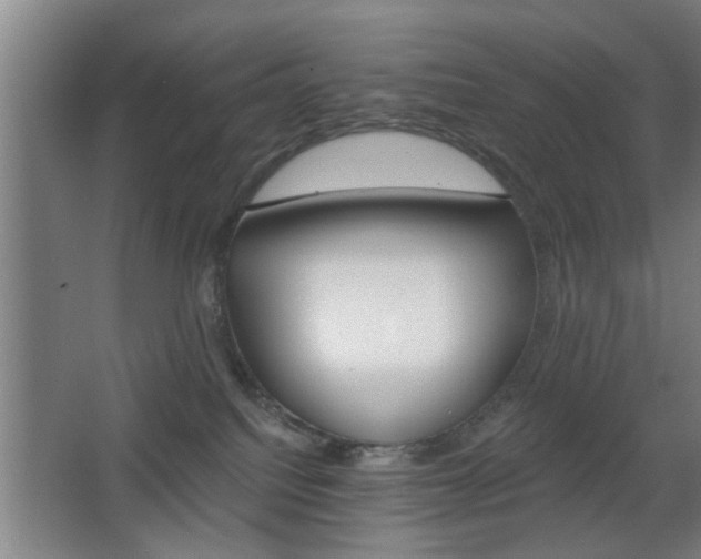 X0000068260088200604241243