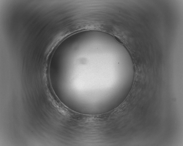 X0000068260098200604241242