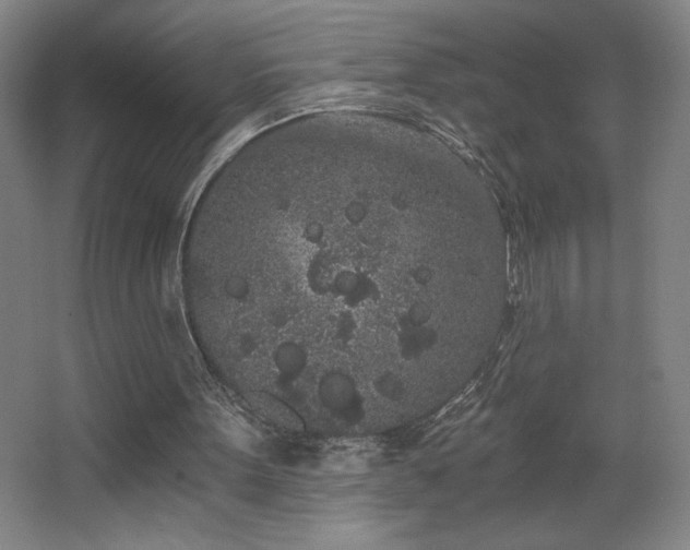 X0000068260099200604241242