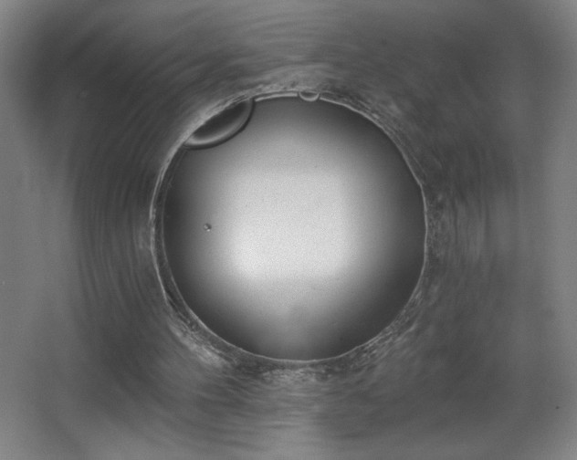 X0000068260100200604241242