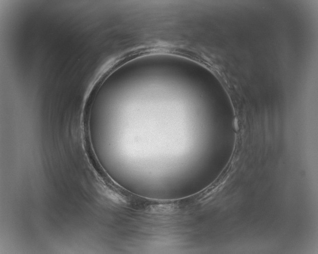 X0000068260102200604241242