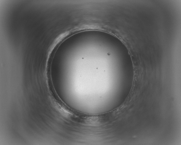 X0000068260104200604241242