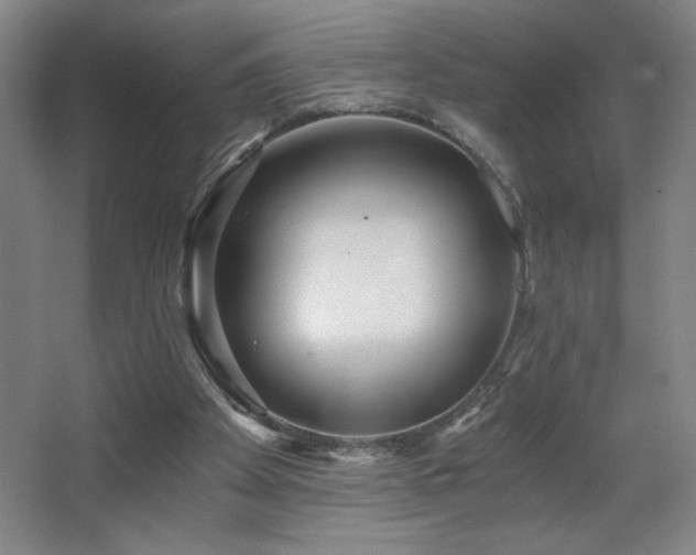 X0000068260105200604241242