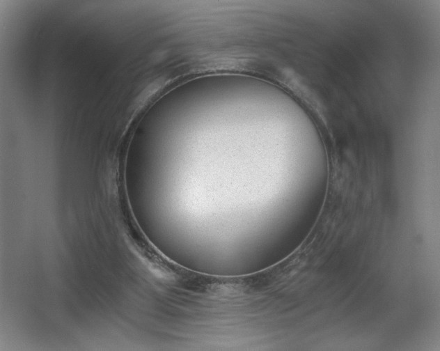 X0000068260107200604241242