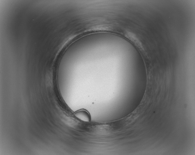 X0000068260108200604241242