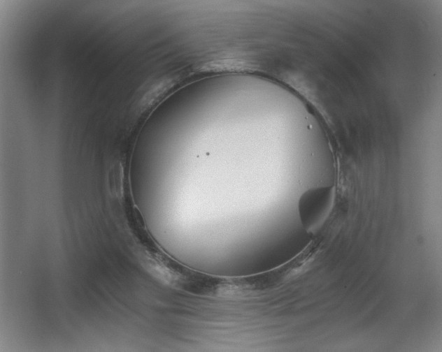 X0000068260109200604241242