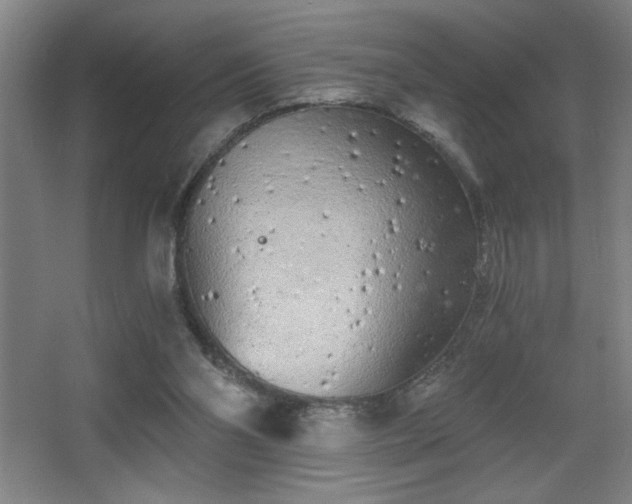 X0000068260110200604241242