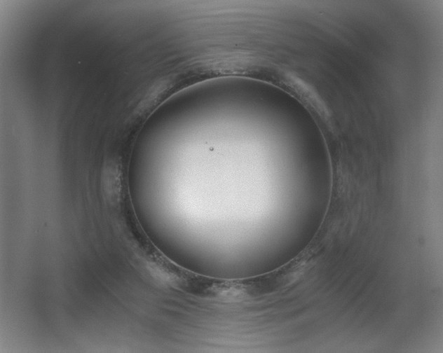 X0000068260113200604241242