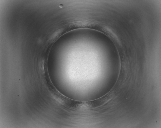 X0000068260115200604241242