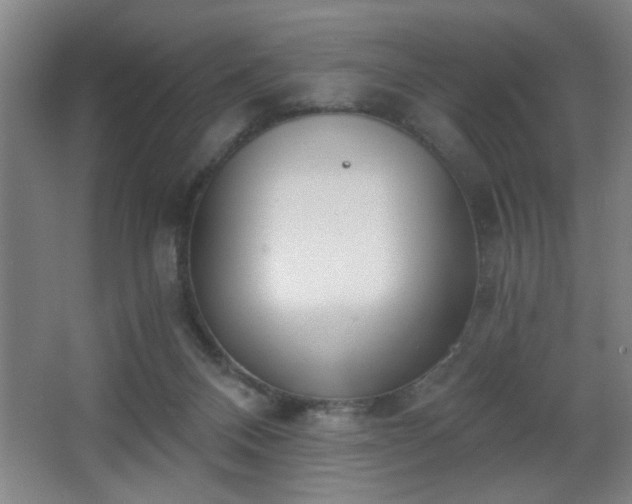 X0000068260120200604241242