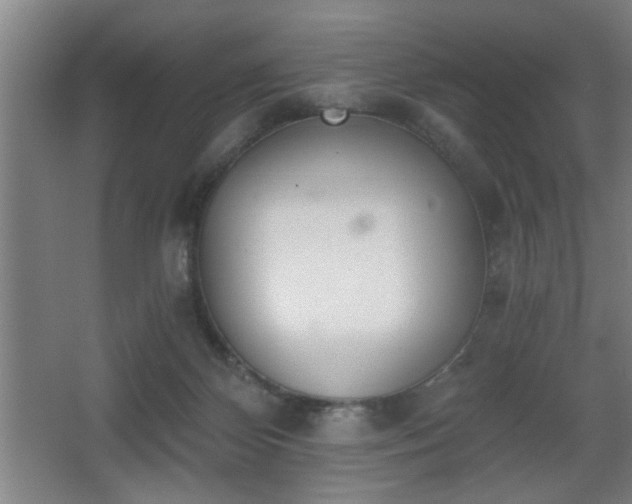 X0000068260124200604241242