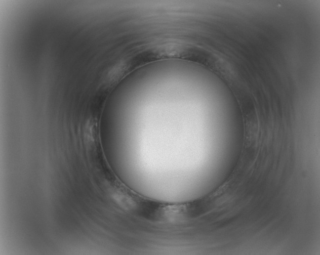 X0000068260126200604241242