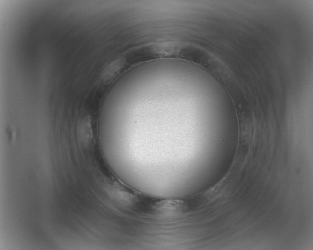 X0000068260128200604241242