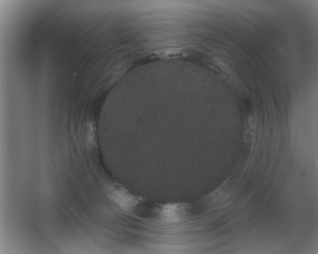 X0000068260130200604241241