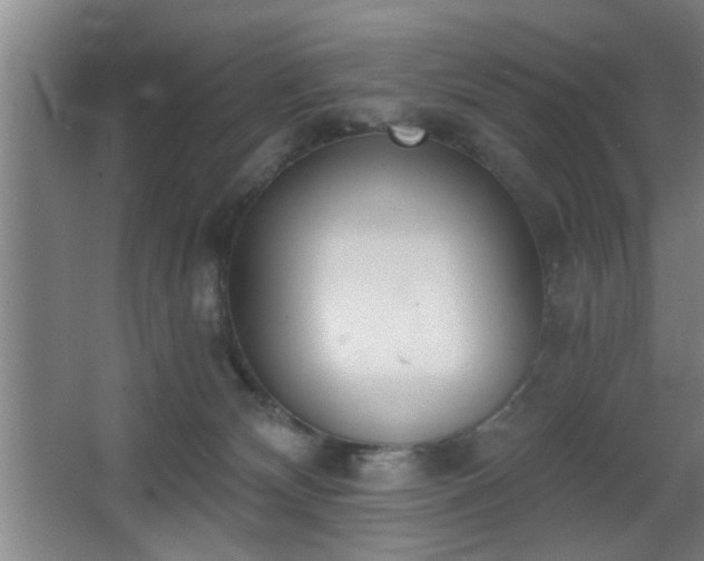 X0000068260132200604241241