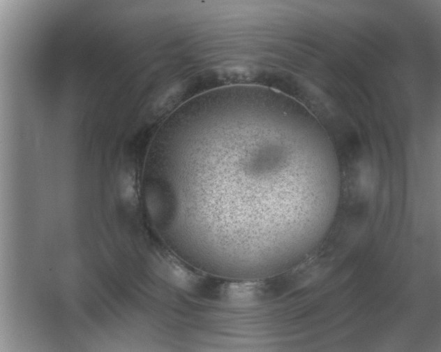 X0000068260134200604241241